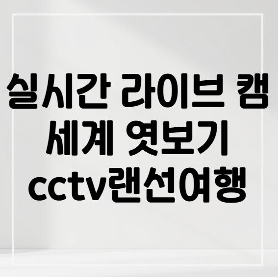 실시간 cctv보기